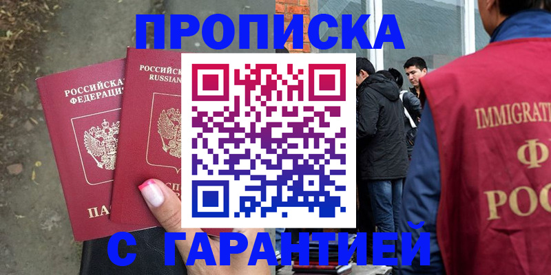 прописка паспорт в Камышине